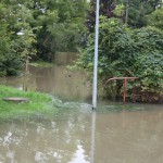Der Regen